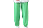 Green monster Christmas dress up