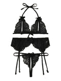 Lace butterfly erotic lingerie