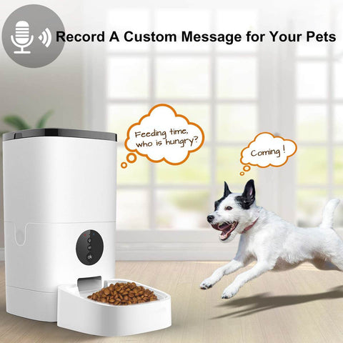 Distributeur automatique d'aliments pour animaux de compagnie 6L télécommande intelligente 5S enregistrement chat et chien distributeur de nourriture